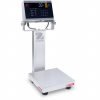 Ohaus i-D61XWE50WQR6: Industrial-Grade Washdown Bench Scale with Precision Weighing