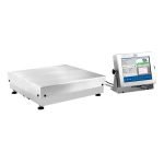 Radwag HY10.62.HRP.H: High-Precision Scale for Demanding Weighing Applications