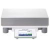 Mettler Toledo XSR32001L/A: Precision Balance for Uncompromising Accuracy